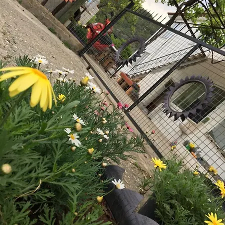 Doganin Kalbinden Muhtesem Bir Tatil Imkani Διαμέρισμα *